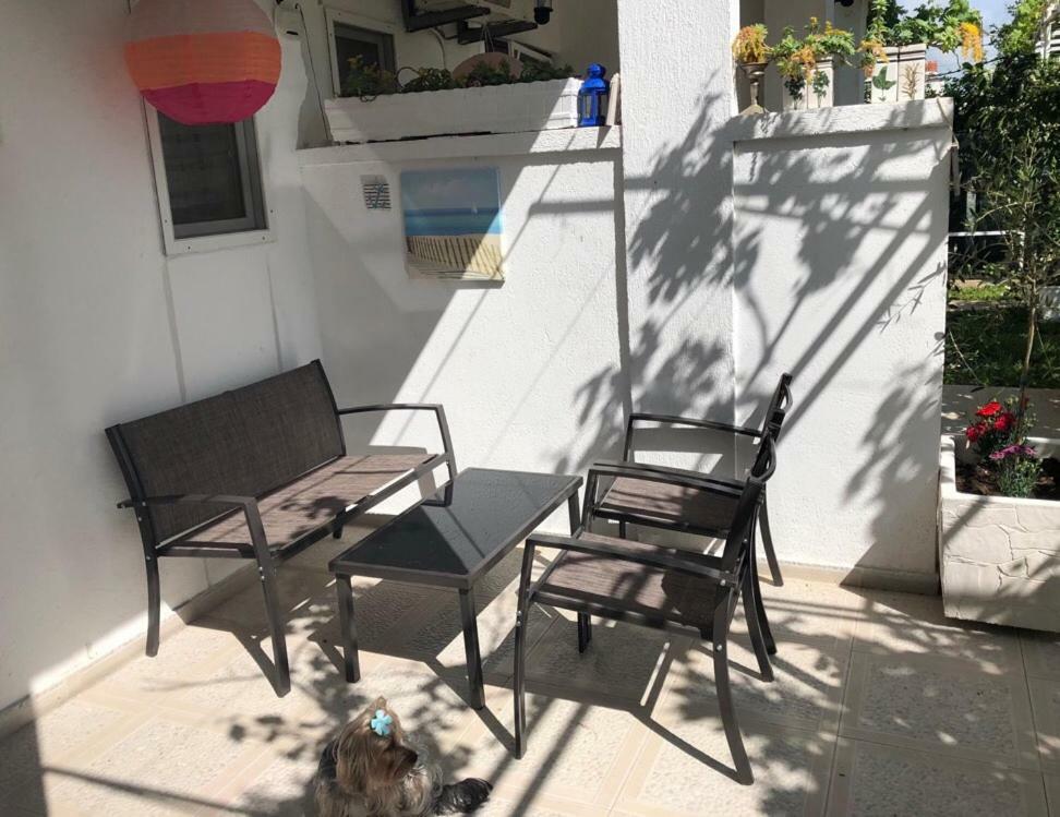 Apartments Mia Patria 乌尔齐尼 外观 照片